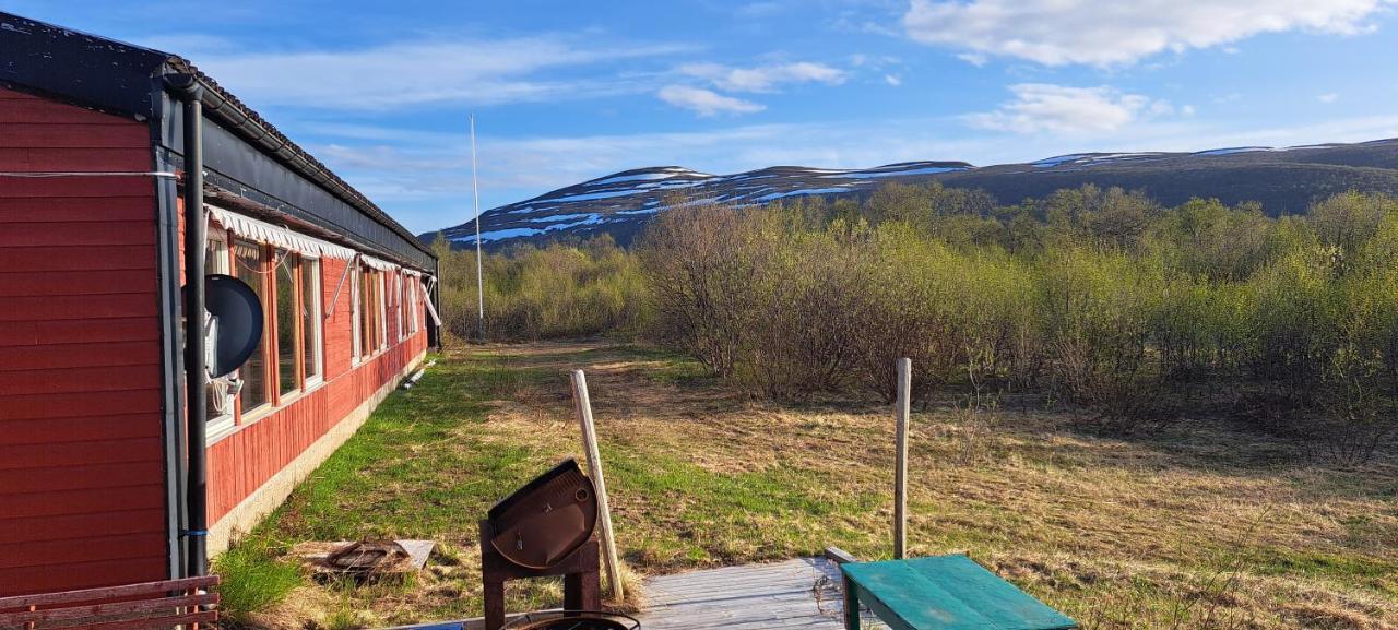 Austertanakrystallen By Pure Lifestyle Arctic Eksteriør billede